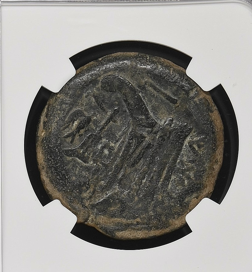 Roman Republic Anonymous c. 206-195 BC AE As Janus Bird & Rudder NGC Ch F