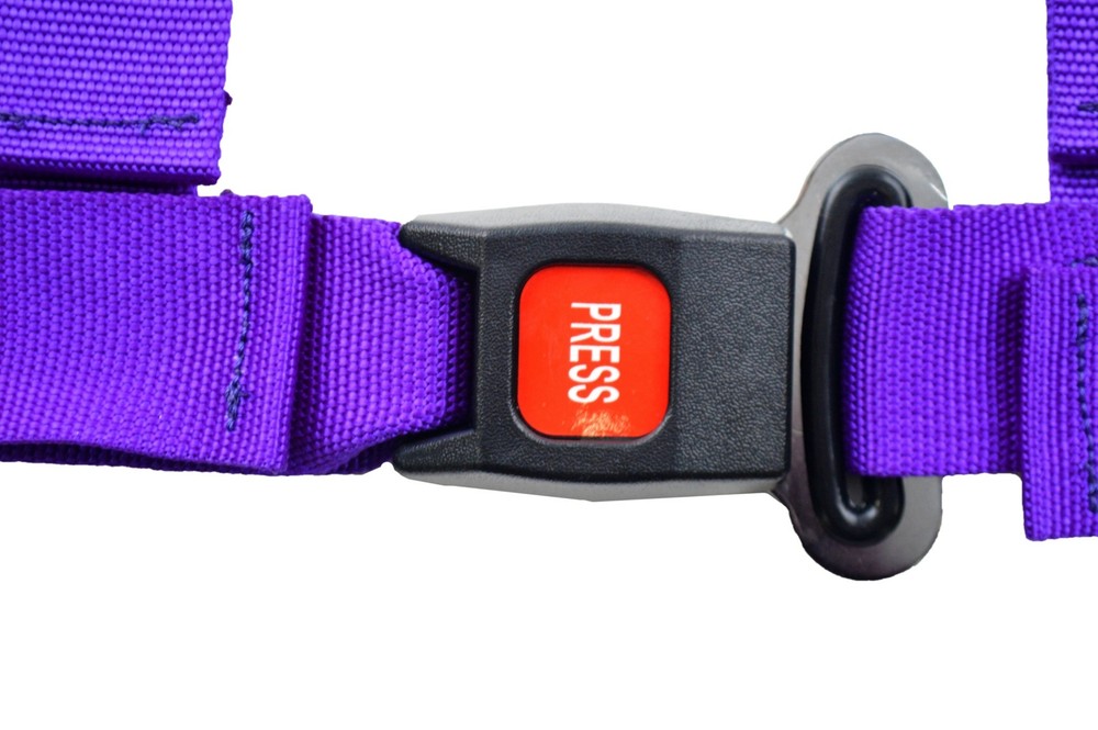 OFF ROAD 2" PUSH BUTTON V ROLL BAR MOUNT HARNESS. 3 POINT BUGGY BELT PURPLE