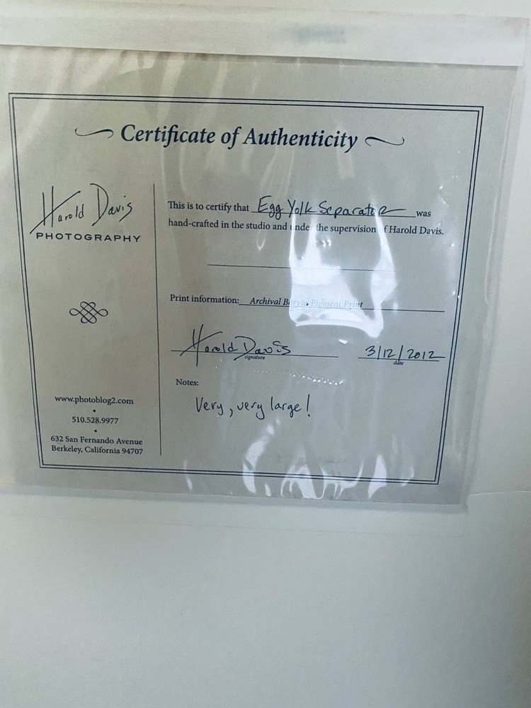 Harold Davis Art work