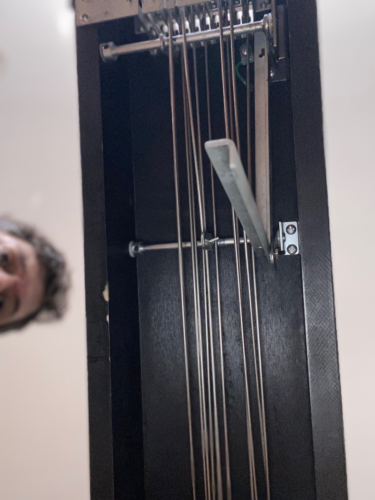 Carter Starter Pedal Steel Guitar with Hard Case - VGC