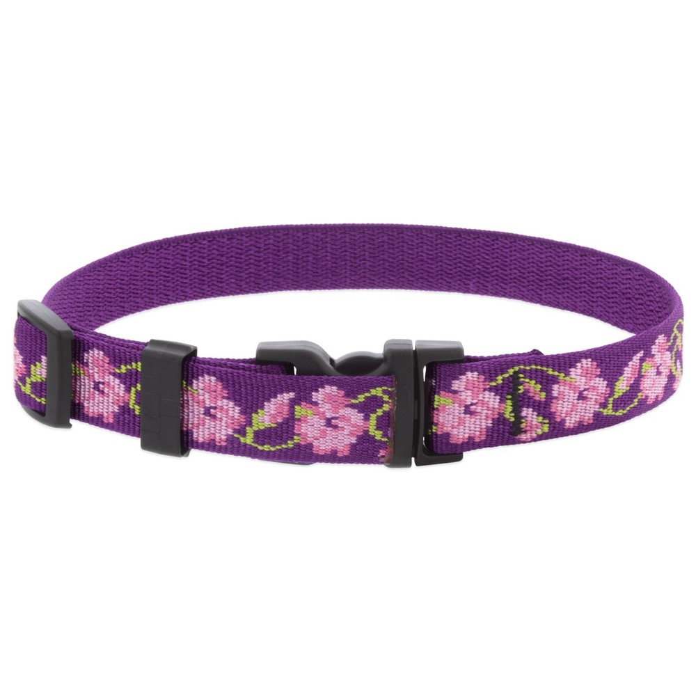 LupinePet Rose Garden Pattern e-Collar Dog Training Replacement Strap Durable