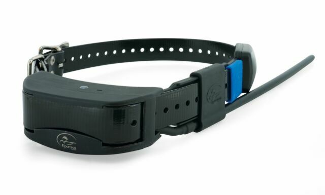 SportDOG TEK2AD Collar - Tracking System
