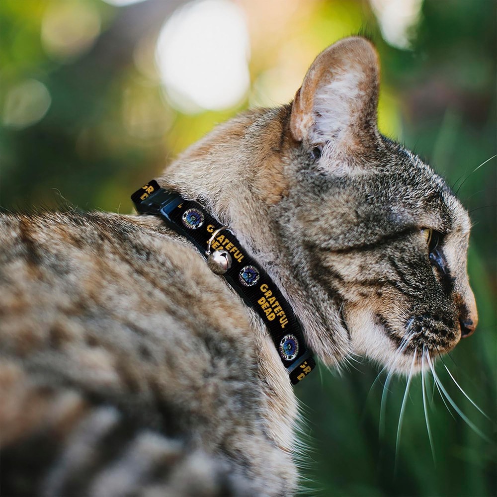 Grateful Dead Cat Collar, Breakaway Collar with Bell, Grateful Dead Text Skull a