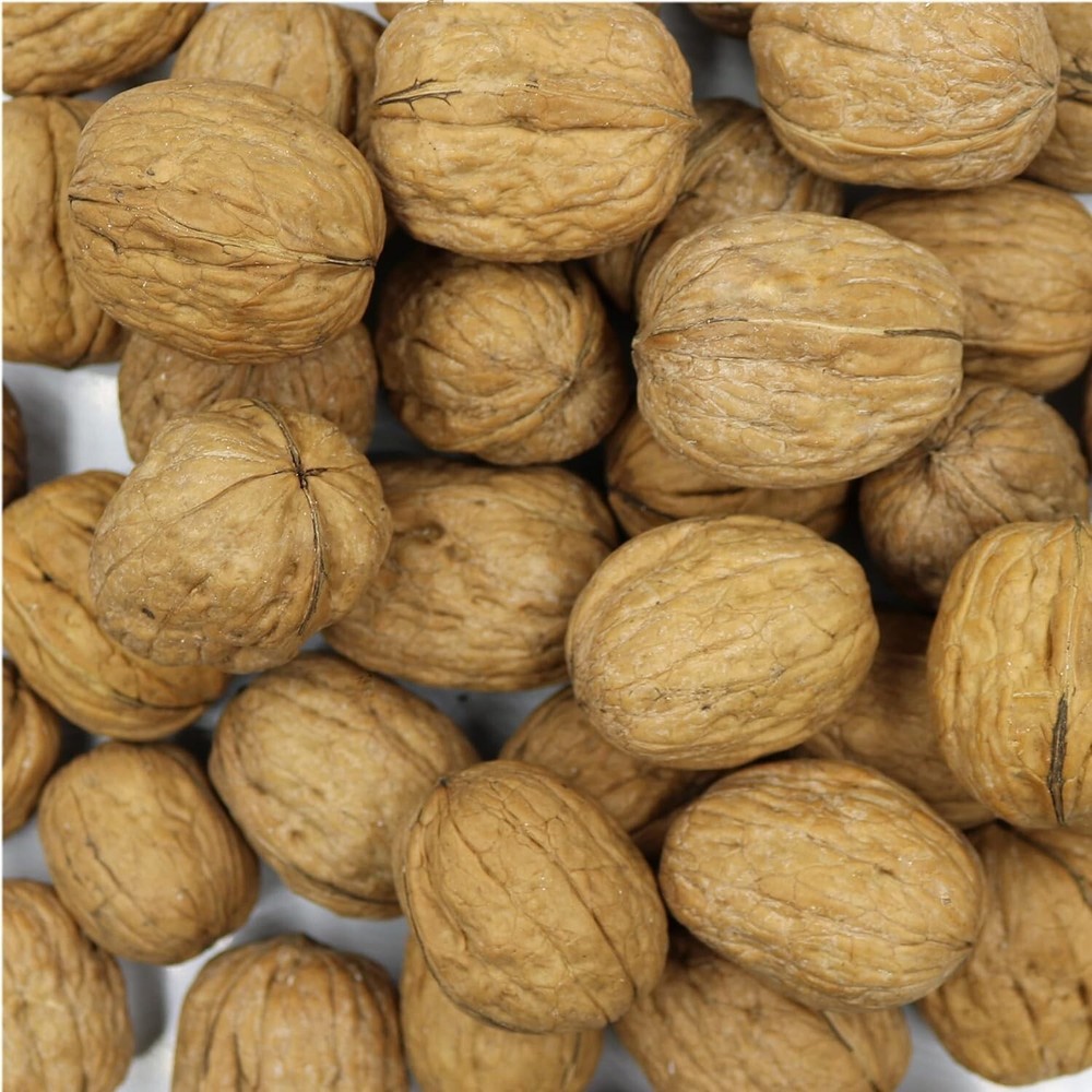 FirstChoiceCandy whole walnuts enclosed within their Shell