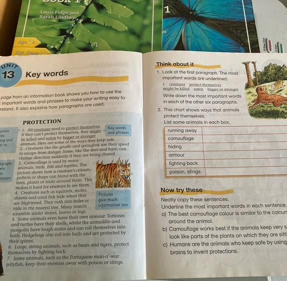 Comprehension, Writing, And Comprehension Books 1