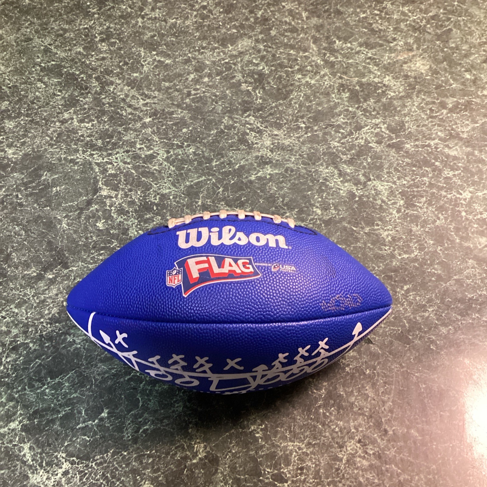 Wilson NFL Play 60 Blue Flag Football Peewee Ages 6-9 Kids Flag Ball WTF1523 HKS