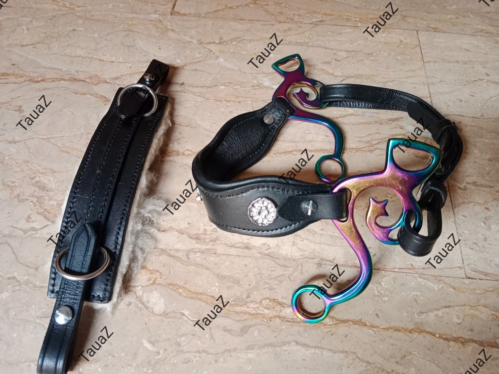 Hackamore with Multi Color shank & two different styles nose bands real leather