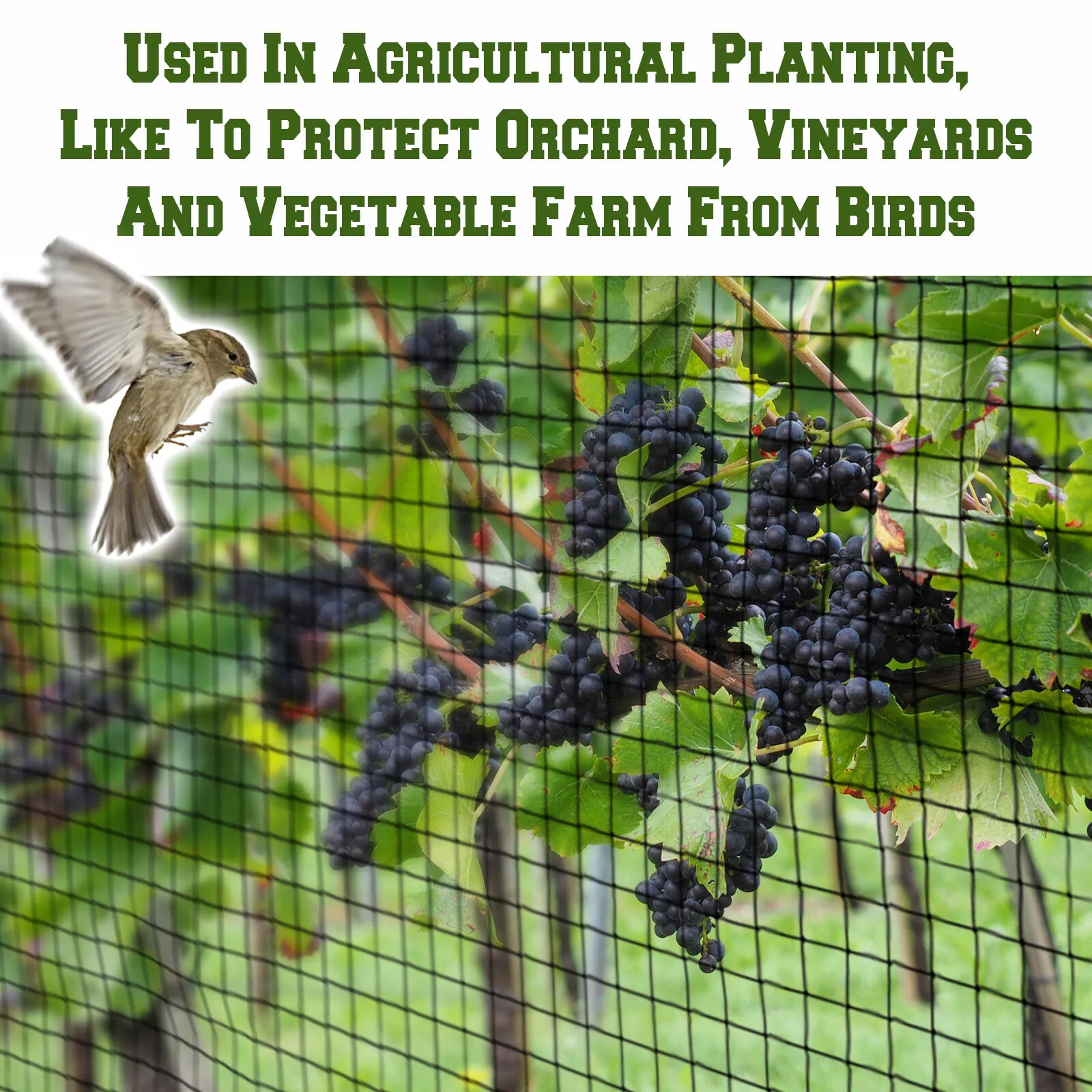 1inch 25'×50' Mesh Anti Bird Netting Garden Net Poultry Aviary Garden Protection