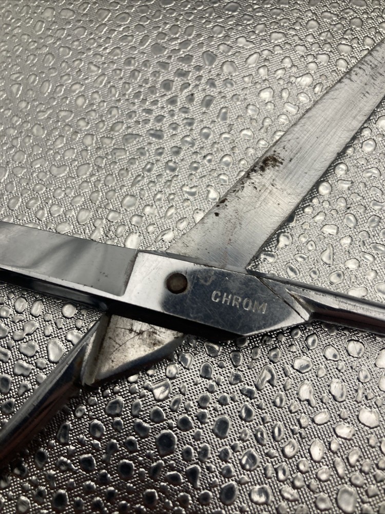 Wasa Solingen Scissors