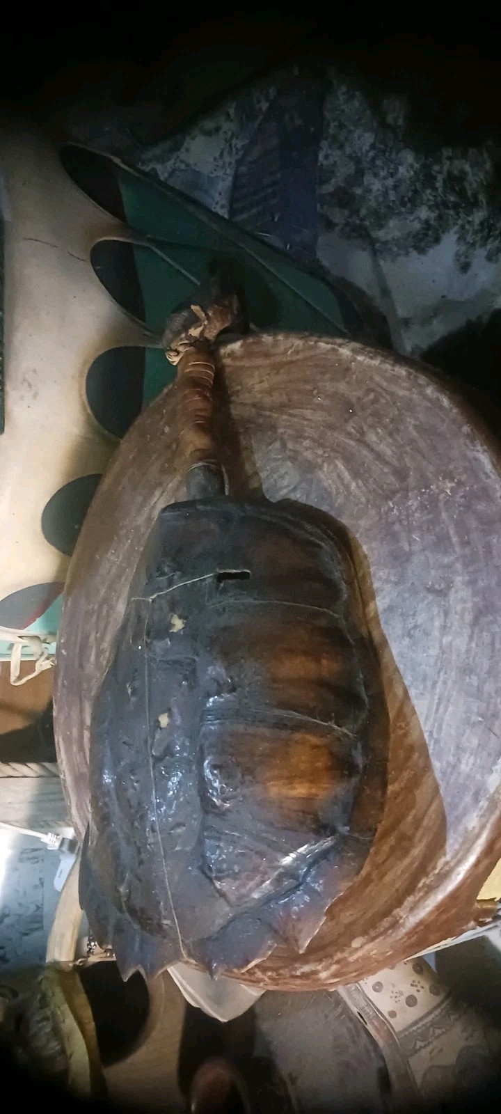 **AWESOME ANTIQUE NATIVE AMERICAN CEREMONY RATTLE OJIBWA SHAMAN NICE! *