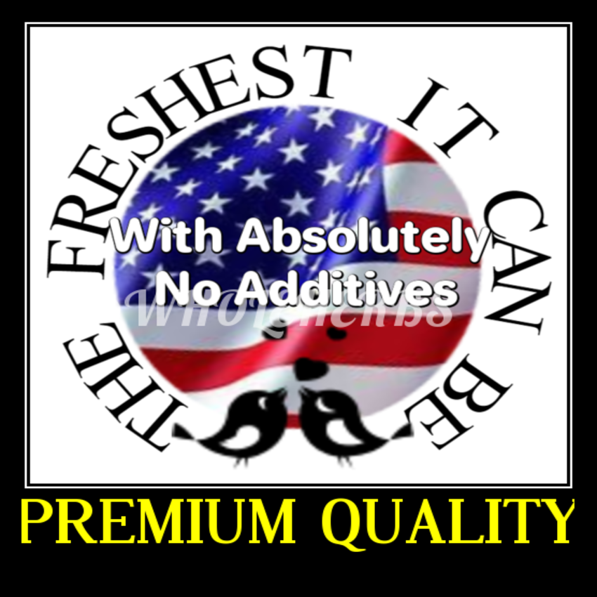 NETTLE STINGING LEAF With Absolutely No Additives High Potency 100 Veg Capsules