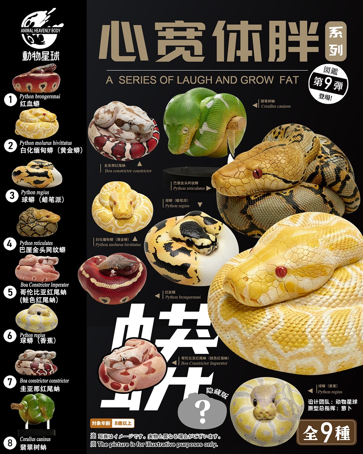 【In-Stock】 Animal Heavenly Body Blood Python brongersmai Snake Statue