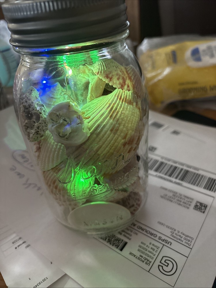 Shells In Lighted Jar