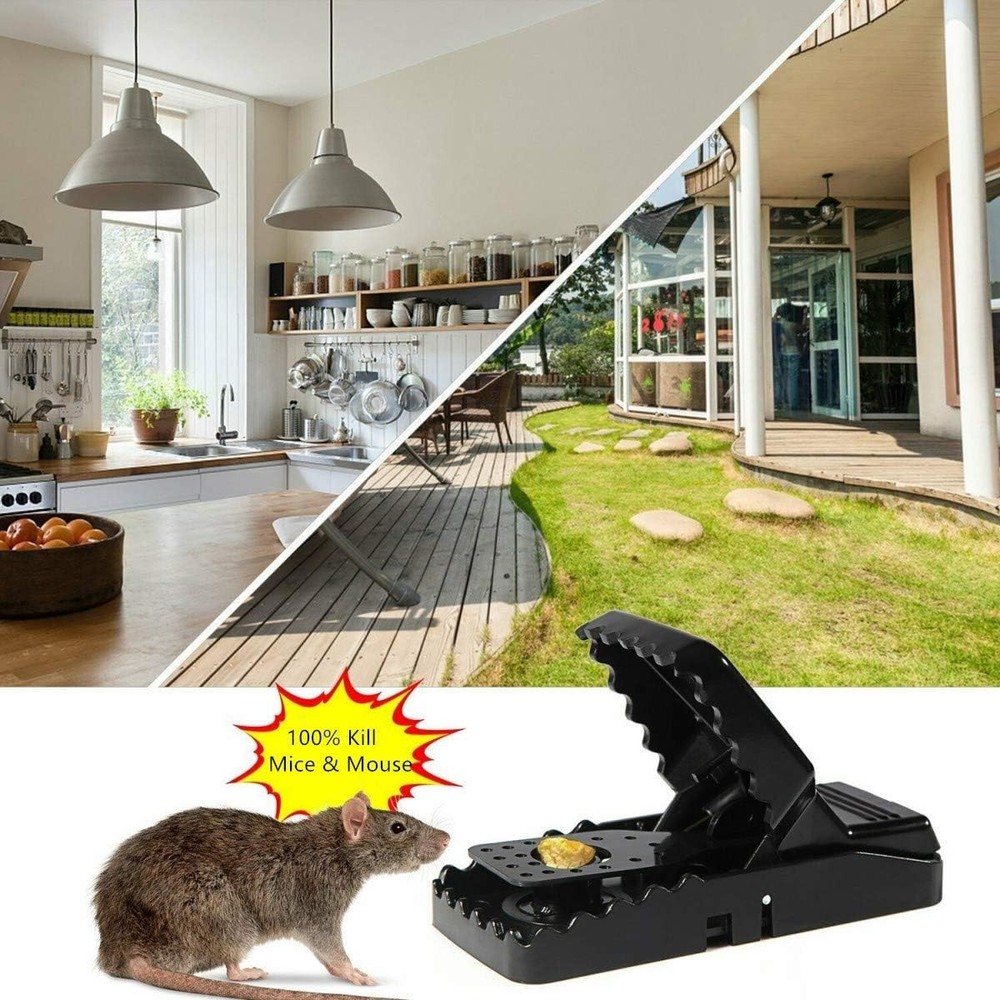 Quick Kill Mouse Traps - 6 Pack Heavy Duty Snap Design for Small Mice
