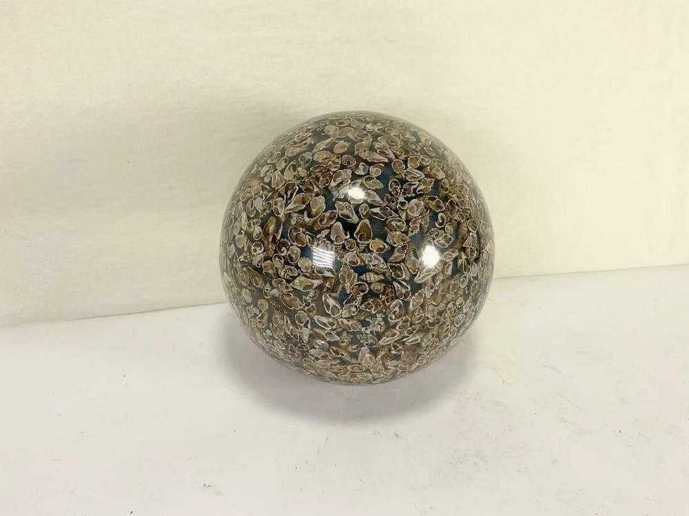 AAA88 Globe Sphere Small Seashell Beach Home Art Decoration Object