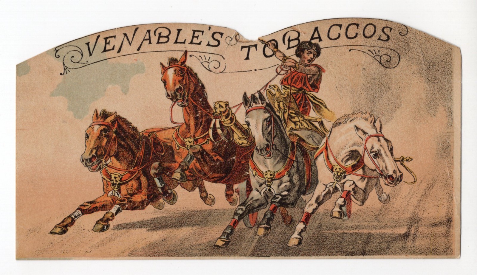 C1880-90s - Venable's Tobaccos Horse Chariot Trade Card - XL2T