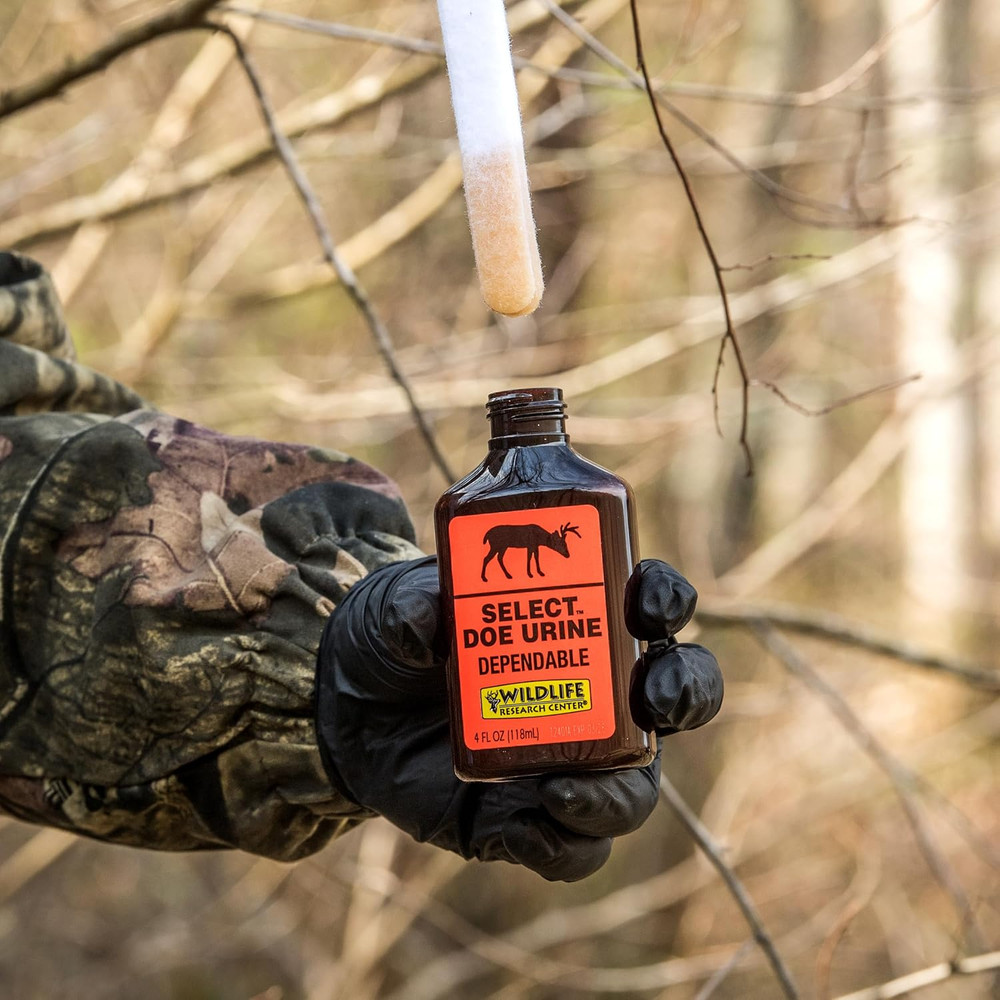 deer Attractant