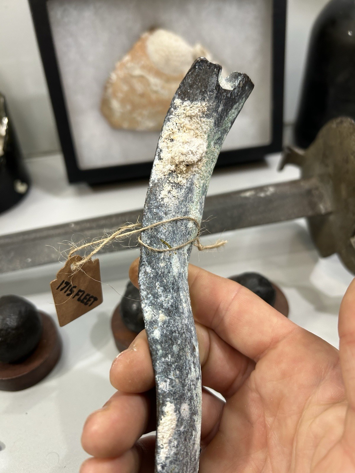 1715 Fleet shipwreck artifact