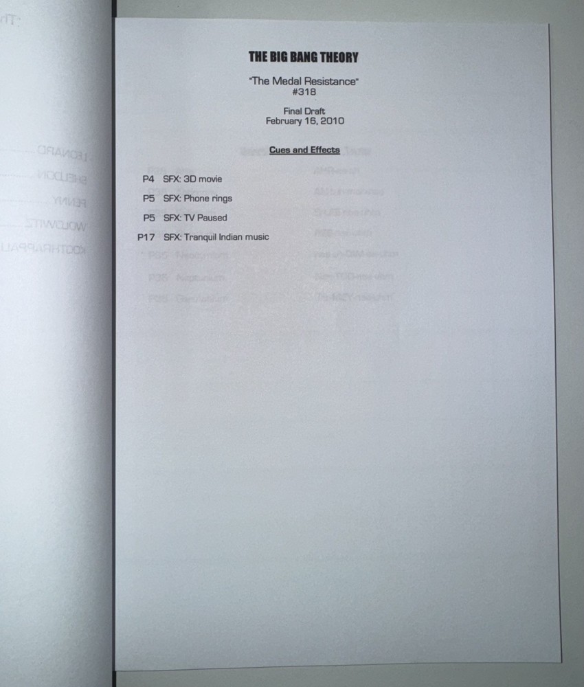 The Big Bang Theory Season 3 Script