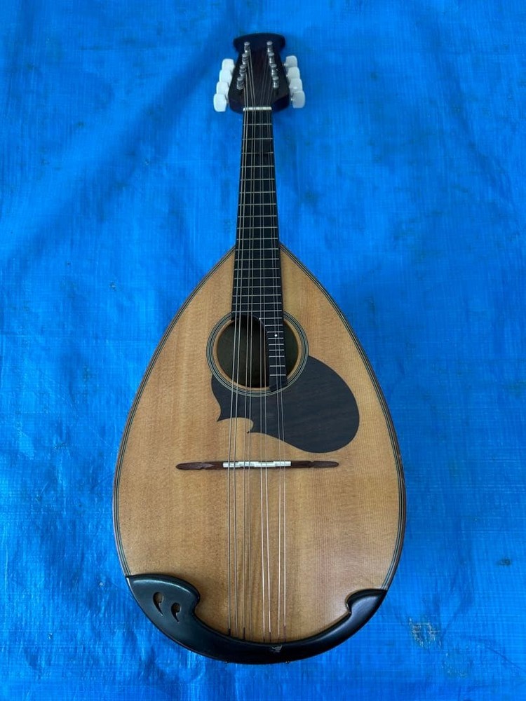 SUZUKI violin mandolin M-20