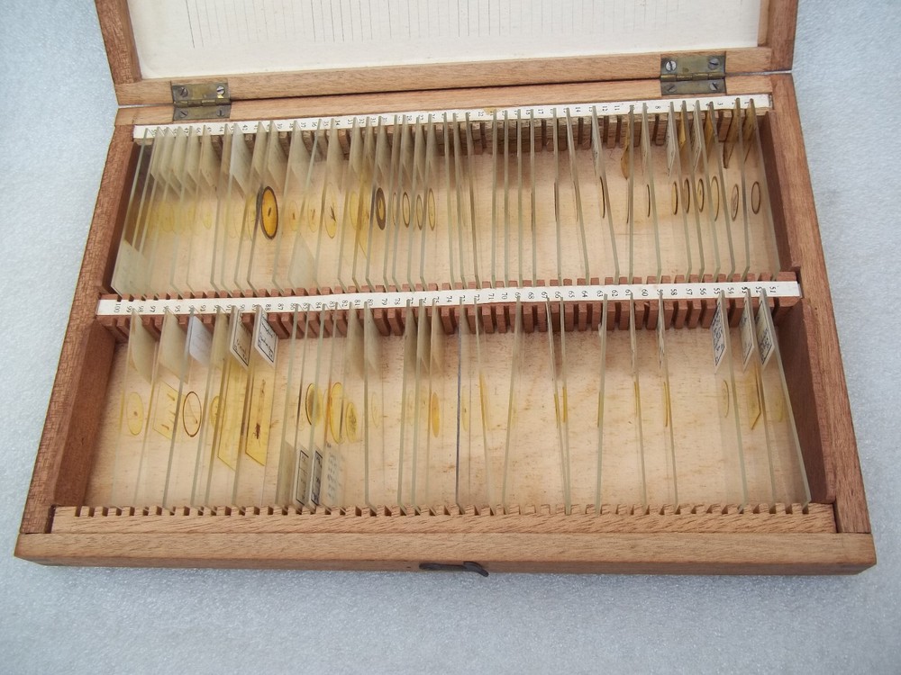 Vintage Glass Microscope Slides