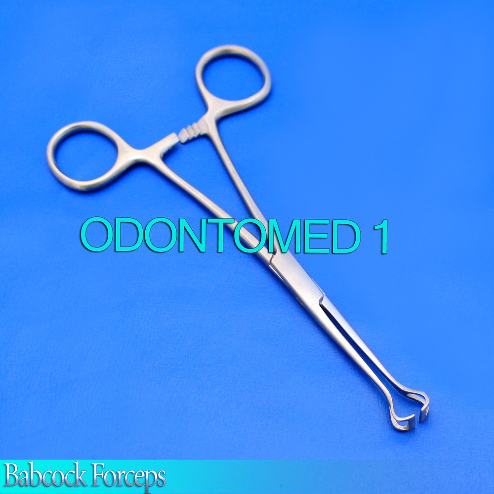 6 Babcock Forceps 6" Surgical Instruments