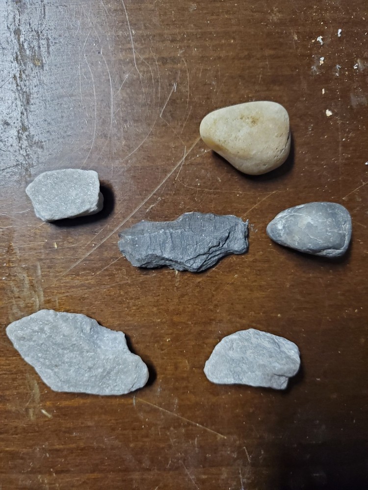 Assorted Rock Collection