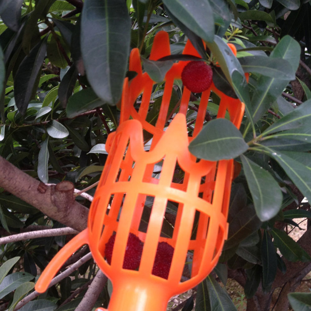 2 Pcs Apple Picker Basket Pole with Fruit Picking Portable Orange