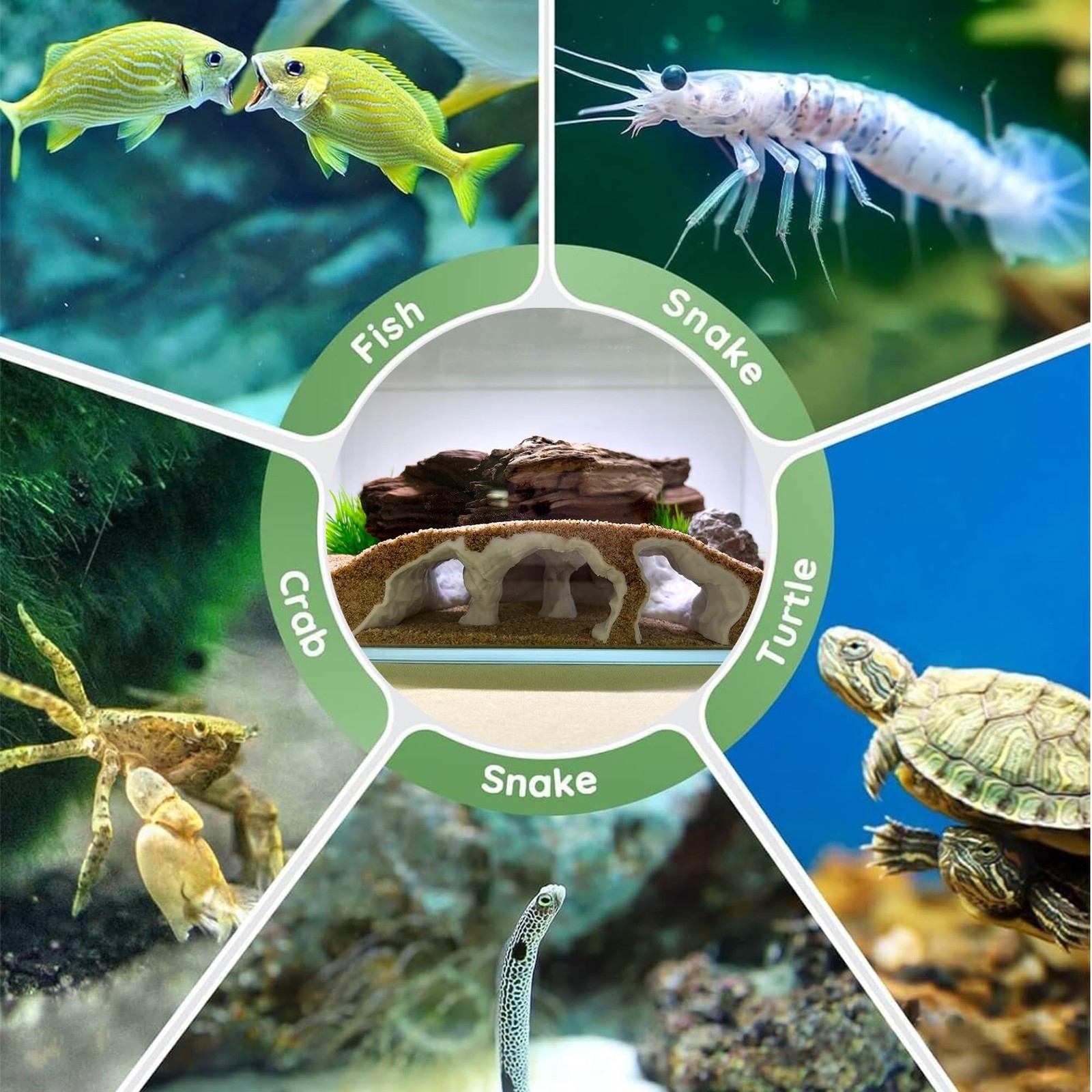 LIYAOLI Aquarium Ornaments Cave Tunnel with Viewing Ports | Fish Tank Decorat...