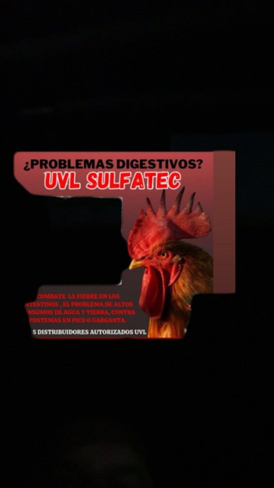 UVL  Lab, Sulfatec, 100 Tabletas,