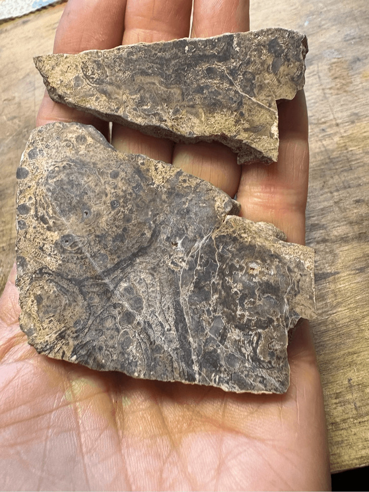 Petrified Wood Slabs (2)