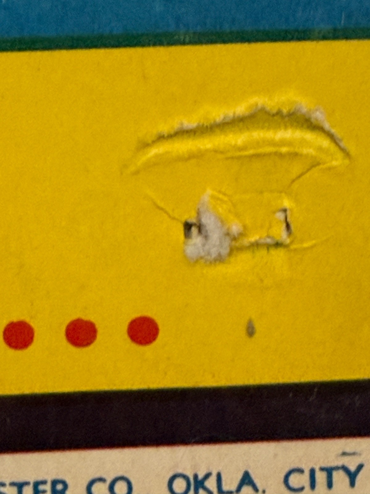 RARE ORIGINAL BAILEY BROS CRISTIANI CIRCUS POSTER 1951 ANIMAL HYPNOTIZER