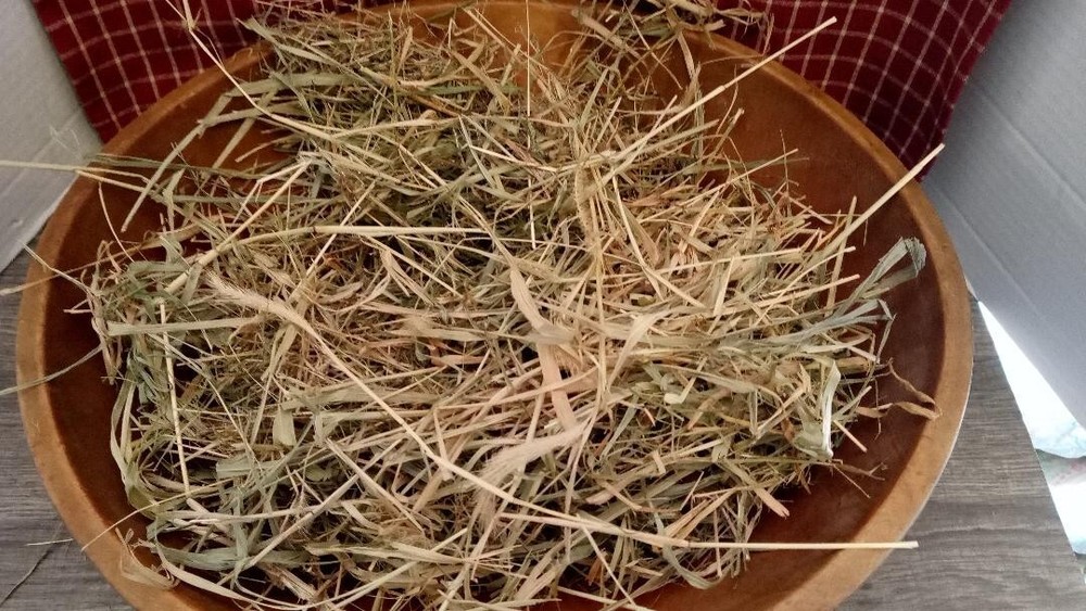 Primitive/Colonial Primitive Easter Spring Large Bag Bunny Grass Bowl Filler