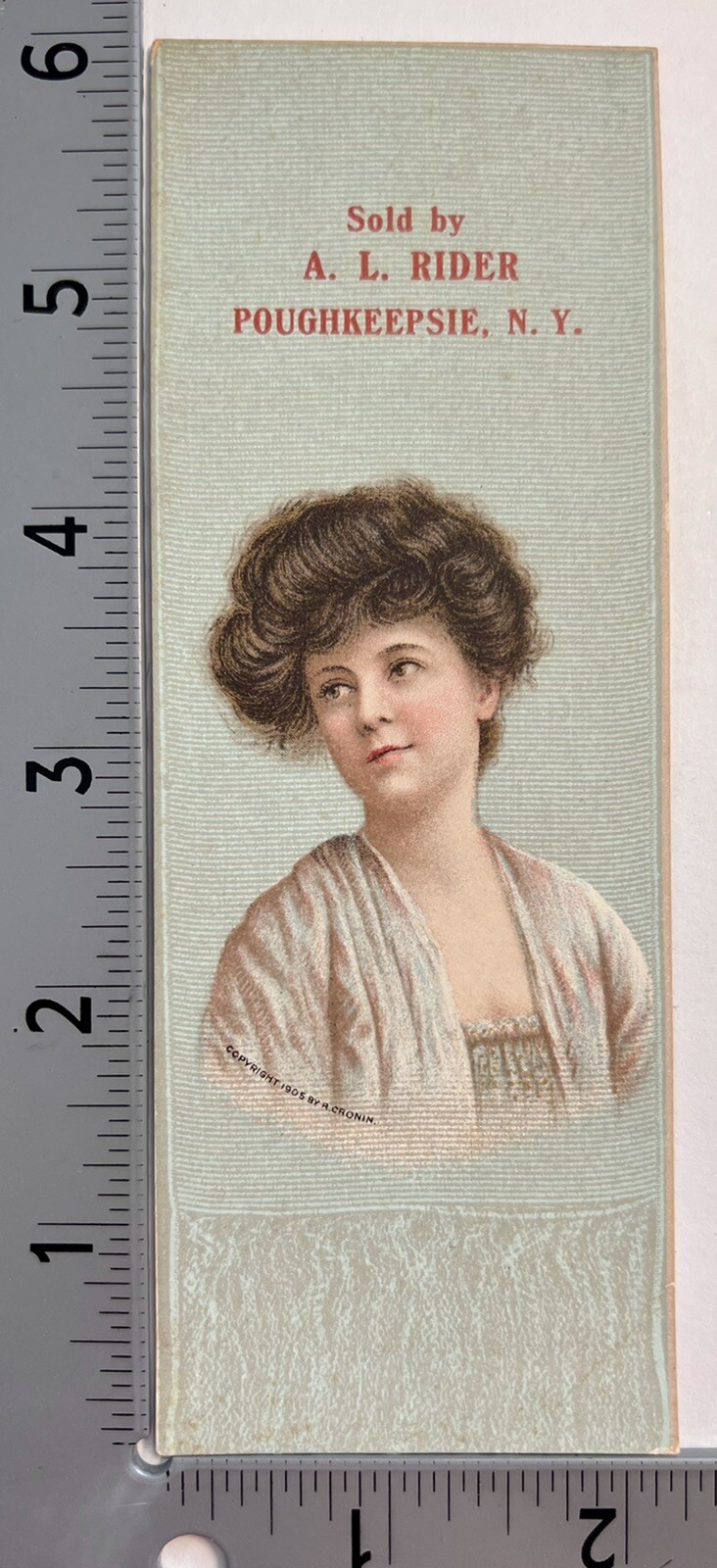 Bookmark Haines Bros Pianos Rochester NY Poughkeepsie AL Rider Bookmark 1880 art