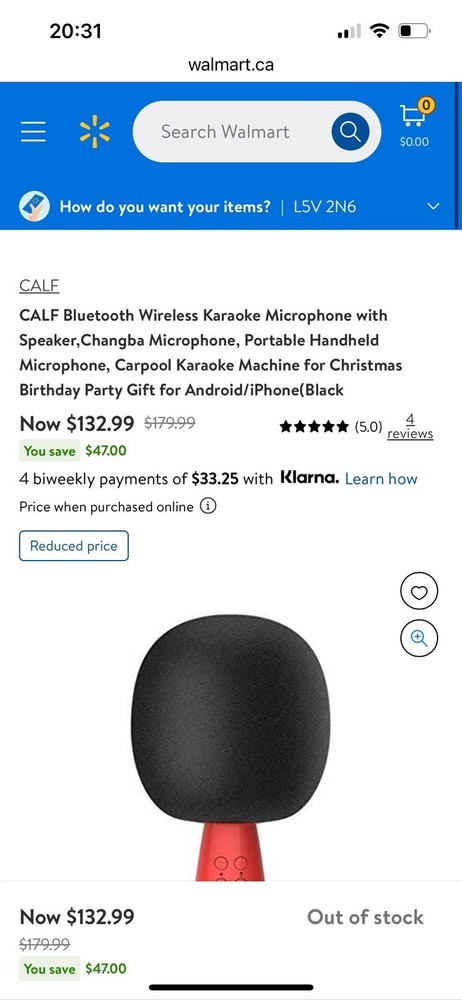 Karaoke Microphone