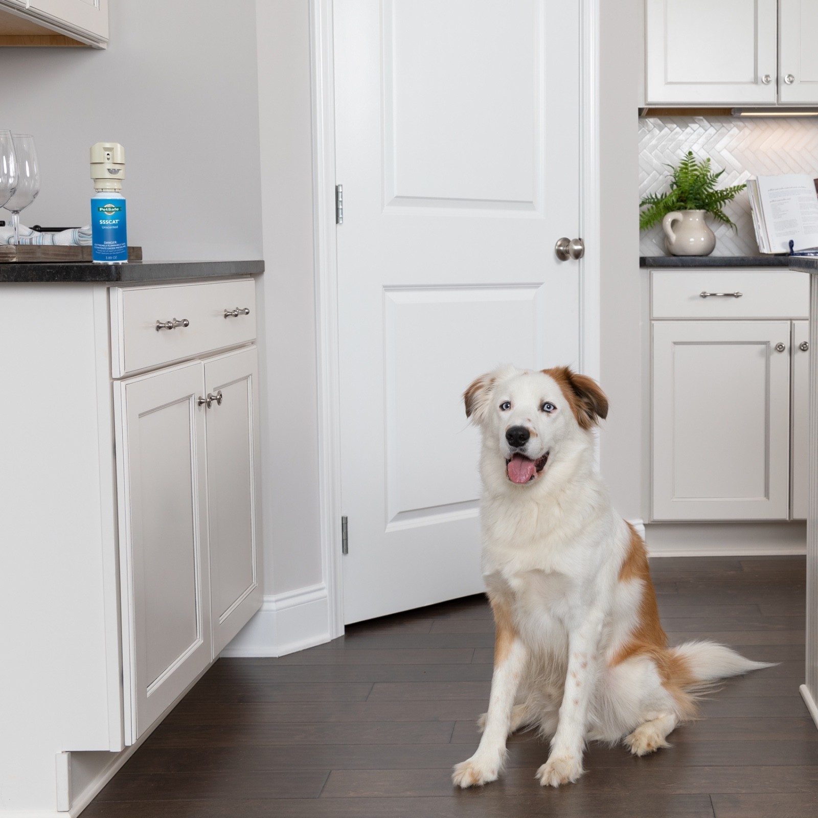 PetSafe SSSCAT Unscented Spray Refill Cans Replacement – PPD00-16818