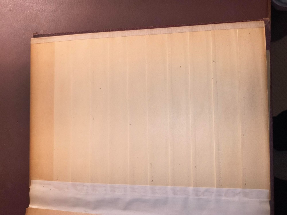 Early Edition ELBE #141 Collector Stock Book