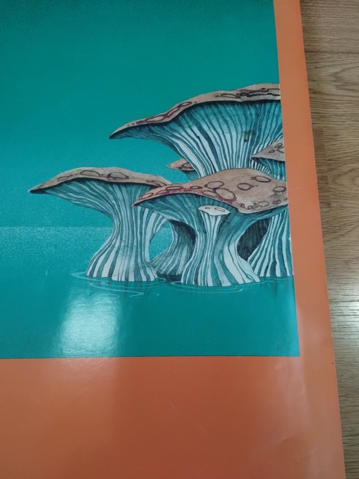RARE 1973 Fish Yessongs 4 Roger Dean Cover Art Big-O Poster England Psychedelic