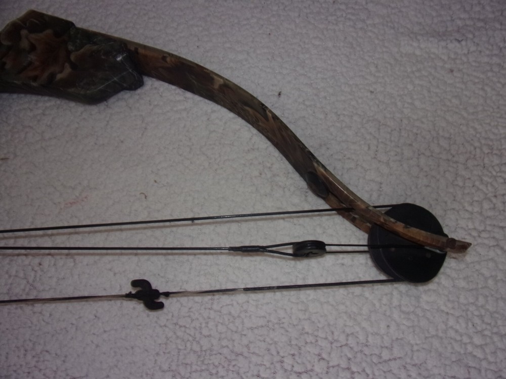 Golden Eagle Falcon Flame Compound Bow