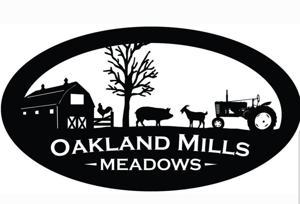 12 Polish Hatching Eggs