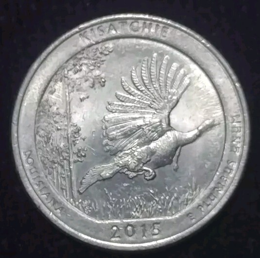 2015 Kisatchie Quarter Strike Thru Error