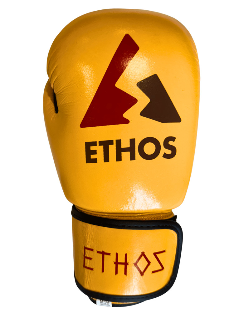 Leather Boxing gloves 16 oz