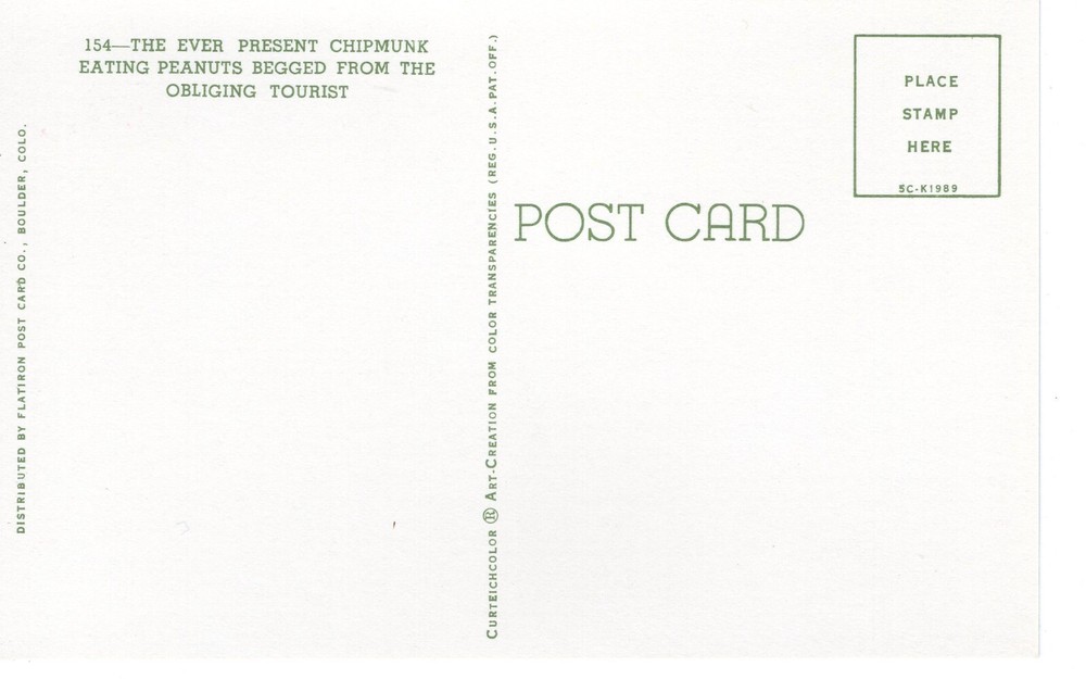 THE EVER PRESENT CHIPMUNK EATING PEANUTS - PC3906