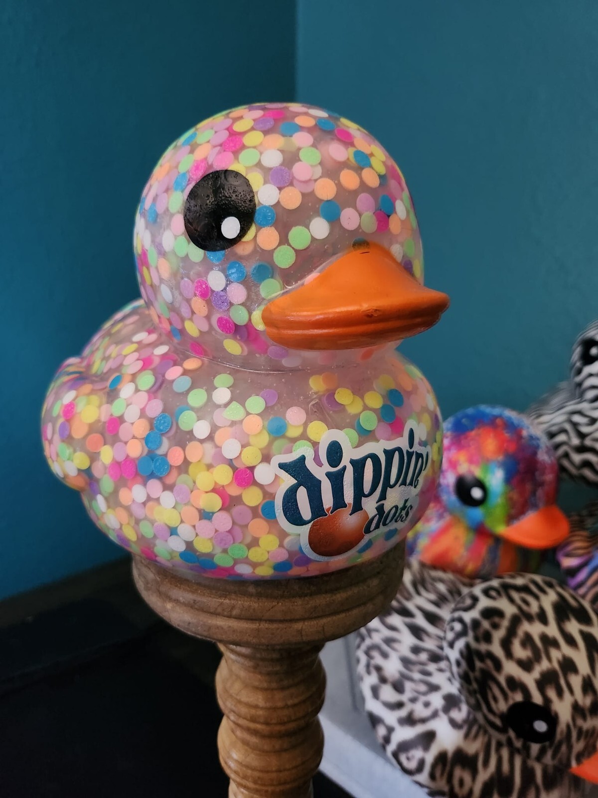 6" Rubber Ducks - Animal Prints, Dippin Dots, Splash Rainbow, & Animal Confetti
