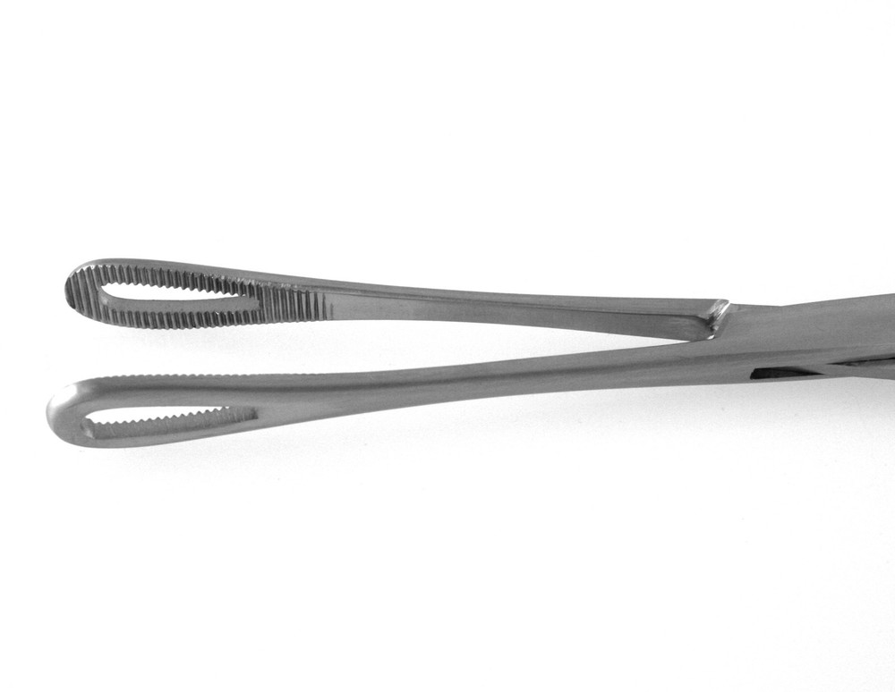 Rampleys Sponge Forceps 9" Straight Fenestrated Oval Shape Serrate Jaws