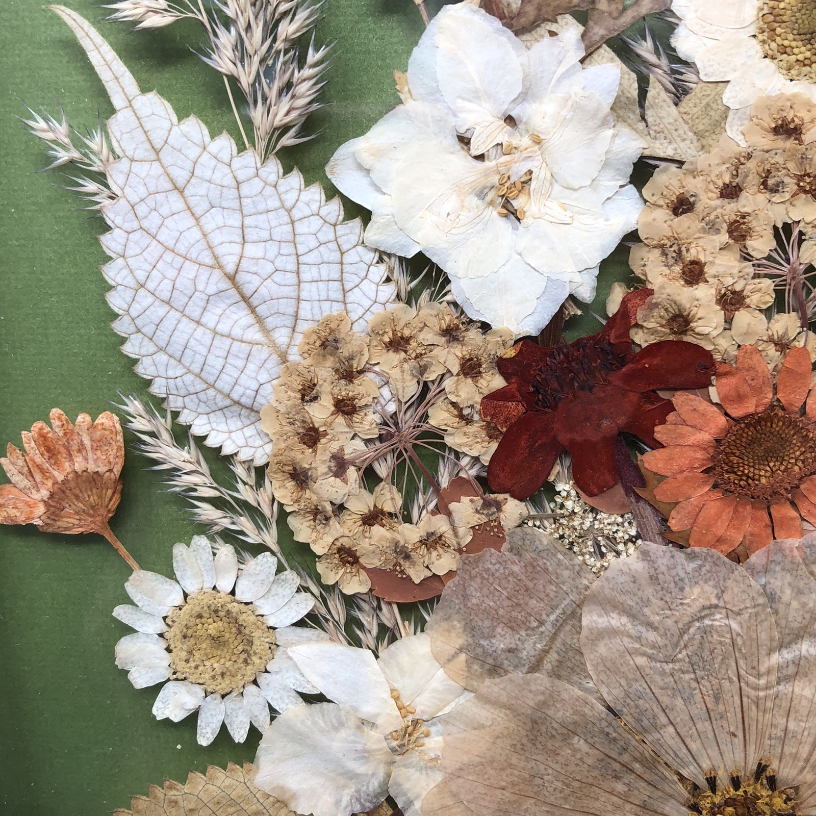 Framed Pressed Flowers Distressed Frame 10.5" x 12.5" Cottagecore Country Chic A