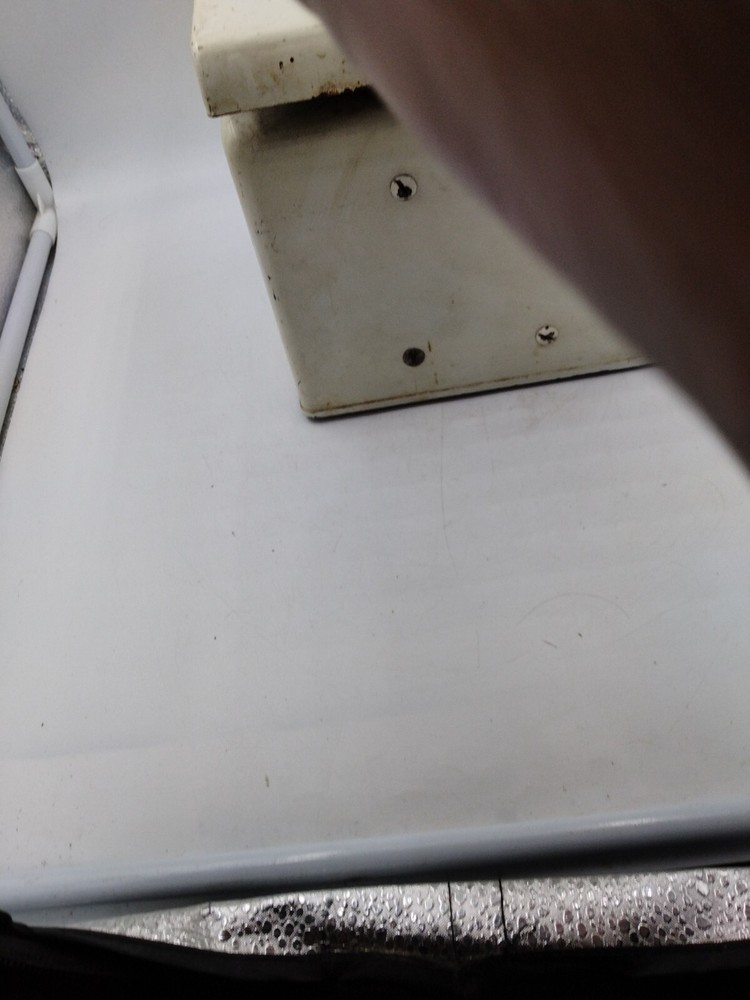 DETECTO SCALE 25 LBS WHITE