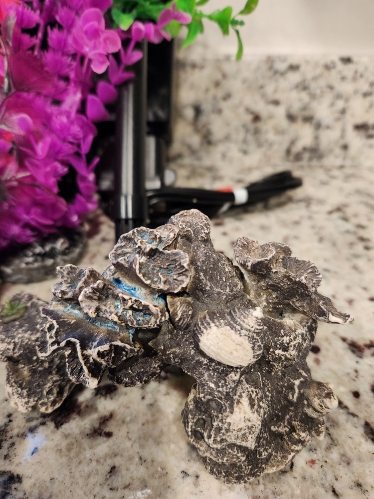 Motor And Aquarium Decor