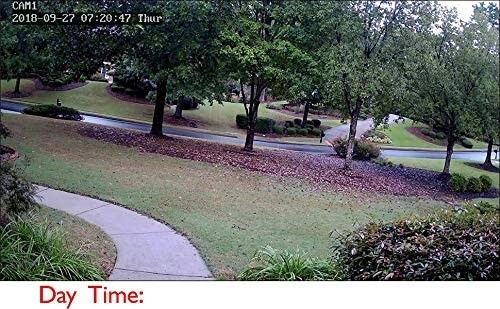 Zeus CCTV Floodlight Camera - Model 2 (2023)