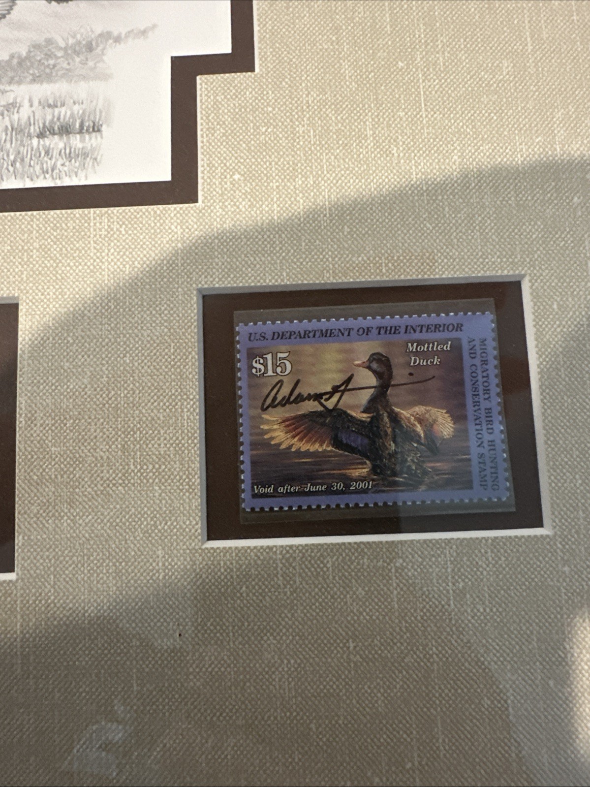 2000 - Federal Duck Stamp Print **ADAM GRIMM Exclusive Edition 42/350